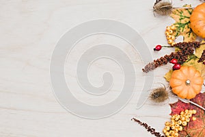 Autumn thanksgiving background. Leaves, pumpkins on wooden background.