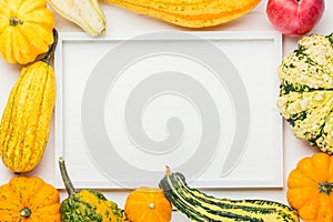 Autumn thanksgiving background with white blank photo frame, pumpkins and apple on white wooden table. Top view with copy space