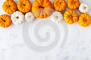 Autumn Thanksgiving background. White and orange pumpkins on stone table top view