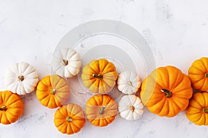 Autumn Thanksgiving background. White and orange pumpkins on stone table top view
