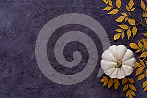 Autumn, Thanksgiving background with white pumpkin and leaves . Top view with space for text