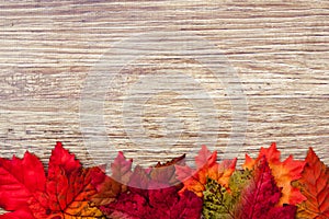 Autumn Thanksgiving Background photo