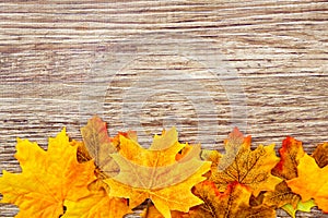 Autumn Thanksgiving Background