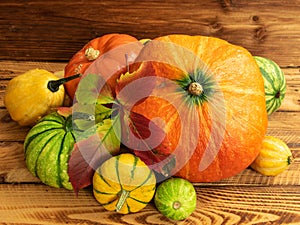 Autumn thanksgiving composition with assorted pumpkins on wooden table