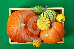 Autumn thanksgiving composition with assorted pumpkins in wooden tray on green table. Top view