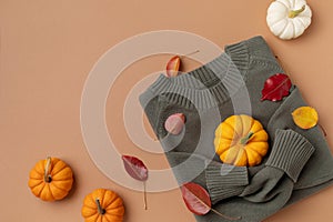 Autumn Thanksgiving holiday background from sweater with pumpkins and dried leaves top view. Harvest, fall and halloween