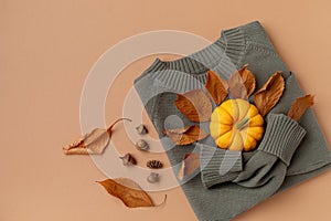 Autumn Thanksgiving holiday background from sweater with pumpkins harvest, dried leaves foliage and fall decorations top view