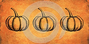 Autumn and thanksgiving orange textured background with hand painted pumpkin illustration. Minimal art seasonal concept. Greeting