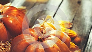 Autumn Thanksgiving pumpkins over wooden background