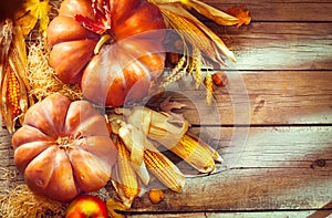 Autumn Thanksgiving pumpkins over wooden background