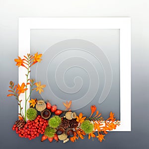 Autumn Thanksgiving Samhain Nature Background Design photo