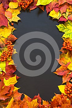 Autumn theme background with maple leaves.