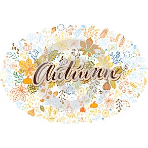 Autumn theme hand drawn background