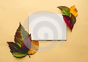 Autumn-Themed Flat Lay with Blank Card and Colorful Leaves on Neutral Background photo