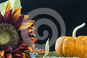 Autumn themed still life with black background