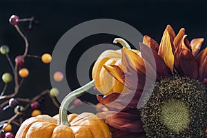 Autumn themed still life with black background