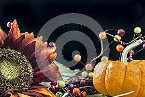 Autumn themed still life with a black background