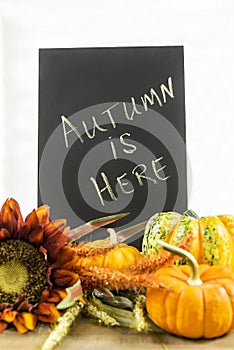 Autumn themed still life with chalkboard