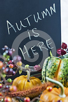 Autumn themed still life with a chalkboard