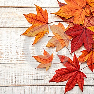 Autumn Thanksgiving Background photo