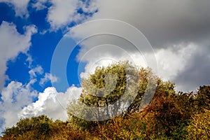 Autumn with threatening clouds over the bushes in the dunes.