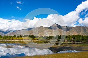 Autumn in Tibet