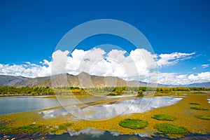 Autumn in Tibet