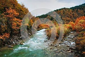 Autumn time at Aspropotamos river