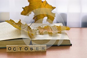 autumn time, concept month october. Open book old yellow maple leaves, inscription october