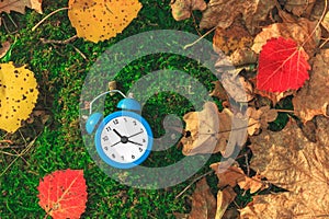 Autumn time. Fallen dry leaves on the ground. Colorful foliage and an alarm clock. Back to school. Discounts and sale.