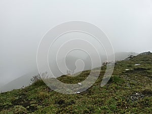 Autumn time at high altitudes in top of the rocky mountains photo