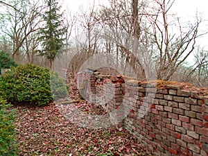 Autumn time in the old abandoned and ransacked Jewish cemetery