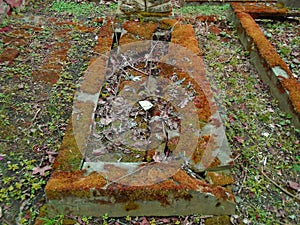 Autumn time in the old abandoned and ransacked Jewish cemetery