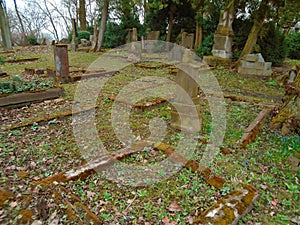 Autumn time in the old abandoned and ransacked Jewish cemetery