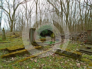 Autumn time in the old abandoned and ransacked Jewish cemetery