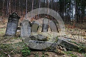 Autumn time in the old Jewish cemetery