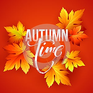 Autumn time seasonal banner design. Fall leaf. Vector illustration