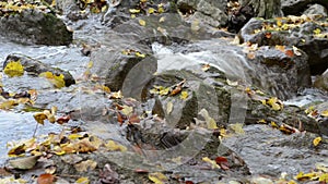 Autumn time. small river flowing through Maisinger Schlucht canyon in Bavaria Germany. Beech forest around.