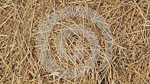 Autumn - time to harvest. Hay bales close-up. Farming concept.