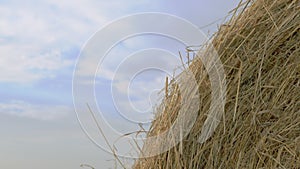 Autumn - time to harvest. Hay bales close-up. Farming concept.