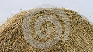 Autumn - time to harvest. Hay bales close-up. Farming concept.