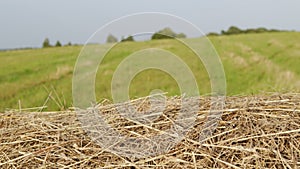 Autumn - time to harvest. Hay bales close-up. Farming concept.