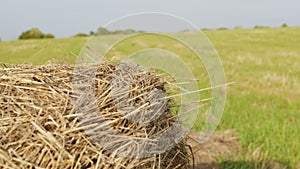 Autumn - time to harvest. Hay bales close-up. Farming concept.