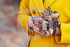 Autumn time. Women `s hands holding a bouquet of leaves and berries of maiden grapes. Close up image. Copy space