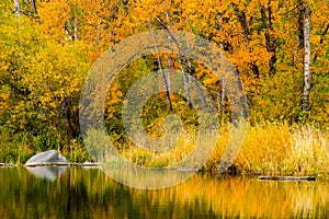 Autumn at Tims Pond in Washington state