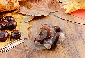 Autumn tinker creative figures of Chestnuts like Caterpillar and