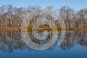 Autumn tints of nature,Park in autumn tints is reflected in silent pond,autumn,autumn winter