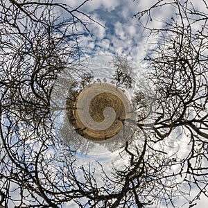 Autumn tiny planet transformation of spherical panorama 360 degrees. Spherical abstract aerial view in forest with clumsy branches