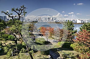 Autumn in Tokyo bay, Japan