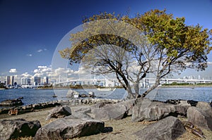 Autumn in Tokyo bay, Japan